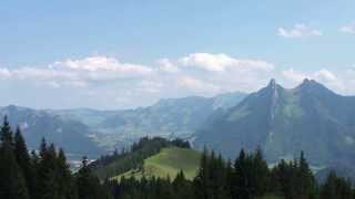 Swiss cows and cowbells in Gruyères Switzerland [upl. by Hanahsuar516]