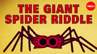 Can you solve the giant spider riddle  Dan Finkel [upl. by Ayvid]