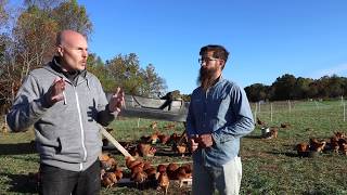 The BEST Pastured Poultry System Out There  Truly Free Range [upl. by Serafine]