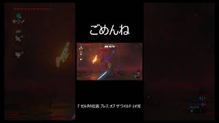 『 ゼルダの伝説 ブレス オブ ザ ワイルド 』 ごめんよ shorts [upl. by Asyral292]