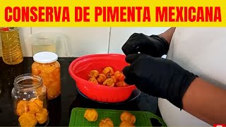 😋Pimenta Mexicana  COMO FAZER CONSERVA DE PIMENTA MEXICANA  PIMENTA MAIS ARDIDA DO MUNDO [upl. by Hedve]