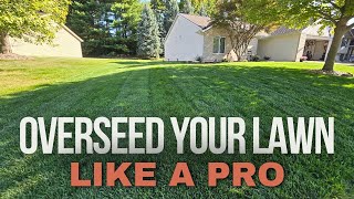 Overseed Your Lawn Like A Pro 3 MustKnow Tips For Success [upl. by Naret]