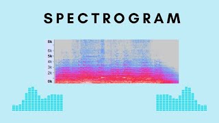 Spectrogram explained [upl. by Hairehcaz]