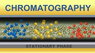 Chromatography Animation IQOGCSIC [upl. by Anrapa]