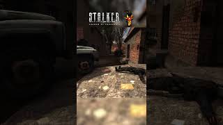 CHEEKI BREEKI stalker stalker2 gaming [upl. by Aeniah338]