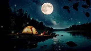 Forest sounds  crickets amp frogs summer night sounds nighttime ambience for sleeping [upl. by Assenal410]