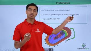 Class 11th  Prokaryotes – Introduction  Cell The unit of Life  Tutorials Point [upl. by Sej215]