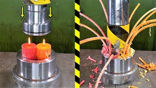 Top Satisfying Hydraulic Press Moments WORM EDITION  VOL1 [upl. by Odnalra]