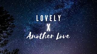 Lovely x Another Love Remix [upl. by Wadell944]