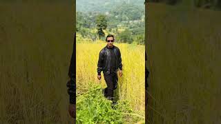 bollywood highlightcover rewashgurung shortsvideo highlights singer shorts [upl. by Korman449]