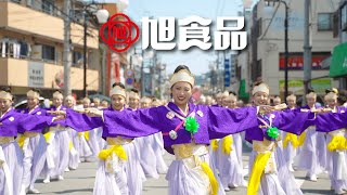 旭食品 2024 第71回高知よさこい祭り 金賞 〜フジイロ〜 【4K】 [upl. by Croner]