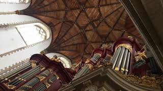 Haarlem StBavo Organ of Chirstiaan Müller 1738 [upl. by Nyram687]