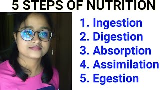 Steps of nutrition IngestionDigestionAbsorption AssimilationEgestion Part9 [upl. by Nyladnohr]