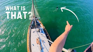 Restoring our sailboats RIGGING Backstay fix amp Mast varnish with FPV Footage — Sailing Yabá 214 [upl. by Rob]