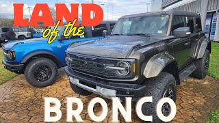 2024 Ford Bronco Raptors Wildtraks Everglades and more [upl. by Dnomrej]