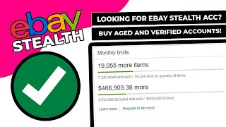 We Buy amp Sell Established eBay Businesses amp Accounts For Sale [upl. by Ahsinrev372]