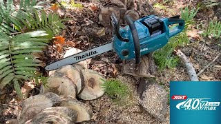 Makita XGT 18quot Chainsaw Real World Cutting Until It Stops  5ah XGT Battery Test  GCU06T1 40v [upl. by Aytida]