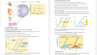 8 Pharmacology Pharmacodynamics From Antagonists to Therapeutic Windows [upl. by Nibur339]