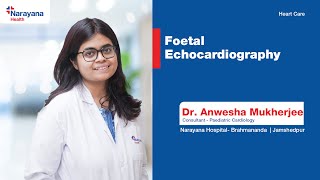 Foetal Echocardiography Detecting Heart Abnormalities in the Womb [upl. by Nnyw]