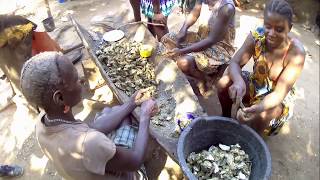 Bubaque island GuineBissau Bijagos [upl. by Sialac617]