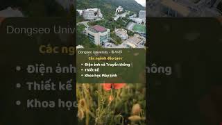 Dongseo University – Thông tin cơ bản về trường Đại học Dongseo dongseouniversity daihocdongseo [upl. by Odlonra885]