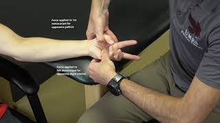 Manual Muscle Test Thumb Opposition [upl. by Jovitah294]