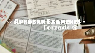 âœ§ Aprobar exÃ¡menes â€” Forzado  Subliminal [upl. by Nerrej]