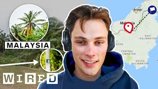 Every Trick a Pro GeoGuessr Player Uses to Win ft RAINBOLT  WIRED [upl. by Savior]