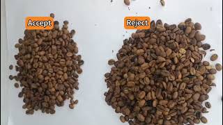 RoastedCoffeeBean Sorting with AMD® PLG AIPowered Sorter [upl. by Gussy]