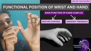 FUNCTIONAL POSITION OF HAND HAND COMPLEX BIOMECHANICSPhysiotherapy [upl. by Walworth461]