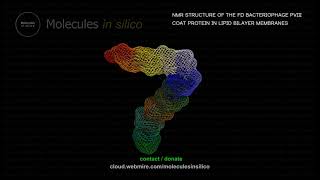 Molecules in silico ･ NMR STRUCTURE OF THE FD BACTERIOPHAGE PVIII COAT PROTEIN IN LIPID BILAYER ME [upl. by Llenaj]