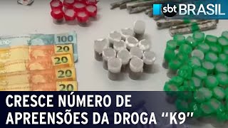 Cresce número de apreensões da droga quotK9quot  SBT Brasil 240423 [upl. by Flavia]