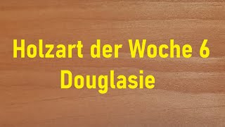 Holzart der Woche 6 – die DOUGLASIE Unterschiede zur LÄRCHE [upl. by Judye468]