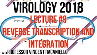 Virology Lectures 2018 9 Reverse Transcription and Integration [upl. by Pillsbury]