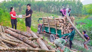 Buy Wood From Villagers On High Hills and Use Trucks To Transport and Sell To Traders  Daily Farm [upl. by Belac]