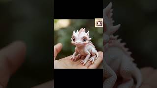 Tiny white dragon funny tinyanimals dragon [upl. by Durrell]