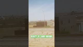 Green Saudi Arabia II Save the Planet II Plant more Trees safetyfirst safetyforlife safetyatwork [upl. by Osei327]