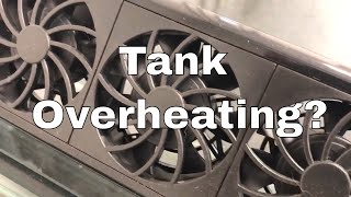 TOP 7 Tips to Keep Your Tank Cool [upl. by Ardnuaek]