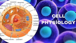 CELL PHYSIOLOGY  NOTES [upl. by Wilt]