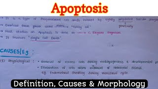 Apoptosis 12 [upl. by Nesta]