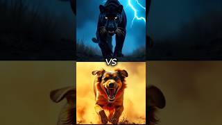 Black panther Vs Animals Dog Monkey Cat Deer animals shorts animalbattle lion aiart [upl. by Akino]