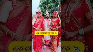 বিয়ে in Bengali Serial🤣Star Jalsha🔥BongStar Sandipshorts funny [upl. by Atem]