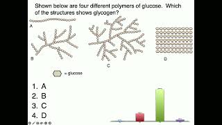 Medical Biochemistry Glycogen Metaboloism 1 SKILDUM [upl. by Lucchesi254]