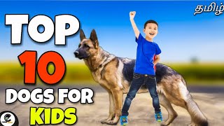 Top 10 dogs for kids  what are the 10 best dogs for kids 🤔 [upl. by Noit819]