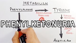 Phenylketonuria  Biochemistry amp Genetics [upl. by Alaham]