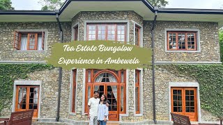 Tea Estate Bungalow Experience in Ambewela  සිංහල vlog [upl. by Mayhs]