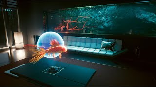 Meditating on Koi Fish Hologram at Konpeki Plaza Cyberpunk 2077 Ambient Environment amp Custom Music [upl. by Jade]