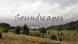 Fujara soundscapes from Slovakia [upl. by Gipps]