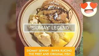 SIOMAY LEGEND  SEWAN  TANGERANG [upl. by Ymrej]