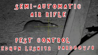 semi automatic rat shooting  air rifle pest control  edgun leshiy2 [upl. by Sillyhp839]